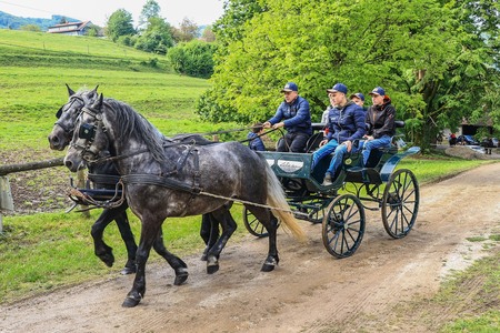 Foto: Goran Rovan, Gorjanska konjenica